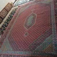 فرش|فرش|کرمانشاه, |دیوار