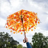 چتر بزرگسال طرح پاییزی