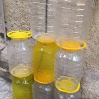 دبه ترشی