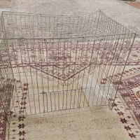 قفس پرنده