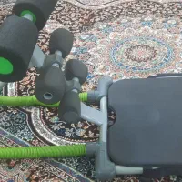 دراز نشست تن تاک