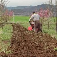 شخم زدن باغ