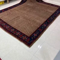 تک ۱۲ متری سنقر اعلا سراسر گردویی رنگ
