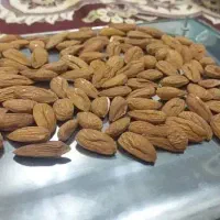 خرید انواع بادام