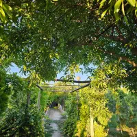باغ-ویلا