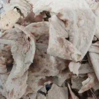 خریدار نان خشک با قیمت مناسب کیلو30 تومان