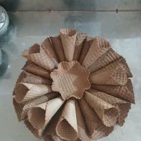 کاسه ای و قیفی
