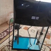 اکواریوم با وصایلش