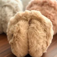 گوشگیرهای خز دار