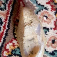 سنگ فروشی
