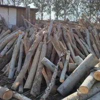 خرید انواع چوب و ضایعات چوبی