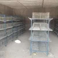 قفس بلدرچین