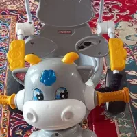 دو چرخه