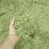 فروش کاه یونجه( یونجه خشک خرد شده)