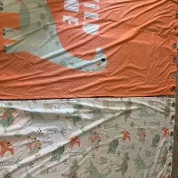 پرده اتاق کودک طرح دایناسور با پتو ست
