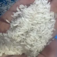 فروش عمده برنج