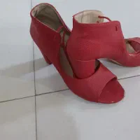 کفش مجلسی سایز40