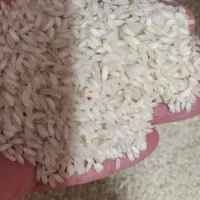 برنج های محلی با سبد کالا