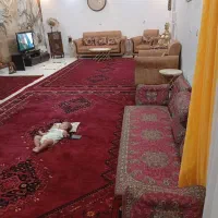 فرش گبه|گلیم، جاجیم، گبه|زاهدان, |دیوار