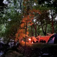 کمپینگ و شب مانی ایمن در طبیعت
