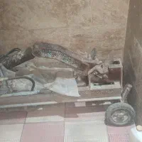 قیچی برقی 32بر