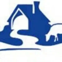 فروش عمده باقالی لوبیا سبز درجه یک