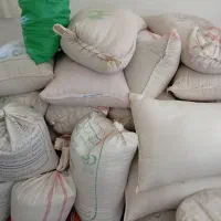 نخودمحلی