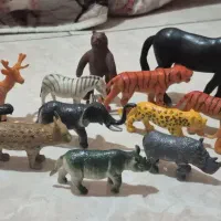 فیگور حیوانات اهلی وحیوانات وحشی درحدنو