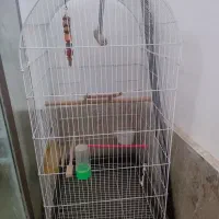 قفس بزرگ
