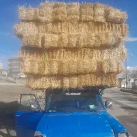 کلش  پرس شده