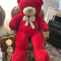 خرس دومتری کاملا سالم