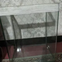 آکواریوم شیشه خم