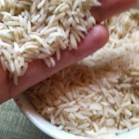 فروش طارم هاشمی اصل بوجار شده
