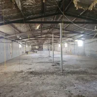 فروش ۳دانگ مرغداری،بهترین لوکیشن منطقه بدون آلودگی