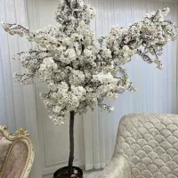 درخت شکوفه سیب