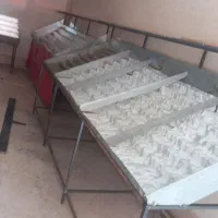 طبق میوه/میز میوه