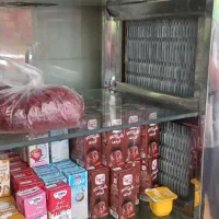 یخچال|یخچال و فریزر|سنندج, |دیوار