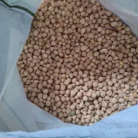 نخود تازه درجه یک خوش پخت کیلویی ۲۰۰