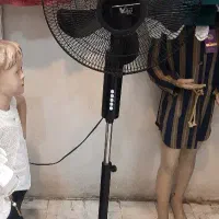 پنکه ویداس
