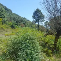 زمین-ویلایی-روستای-دربند