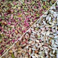 خدمات سورت و رنگ‌بندی اتوماتیک و دقیق