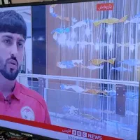 تلویزیون ایکس ویژن ۴۳