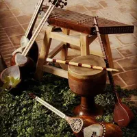 ساز حرفه‌ای