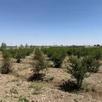 نیروی باغبان و نگهبان