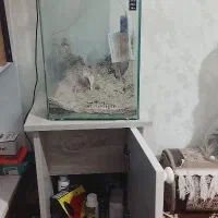 آکواریوم شرکتی