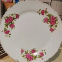 بشقاب پلوخوری گلسرخی چین 10عدد1100