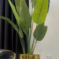 درخچه پرنده بهشتی باگلدون فایبر گلاس