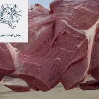 پخش گوشت عمده