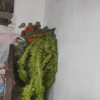 تدریس خصوصی  از مقطع ابتدایی تا نهم