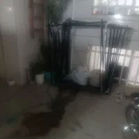 رگال